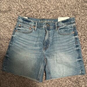American Eagle Strigid Denim Shorts